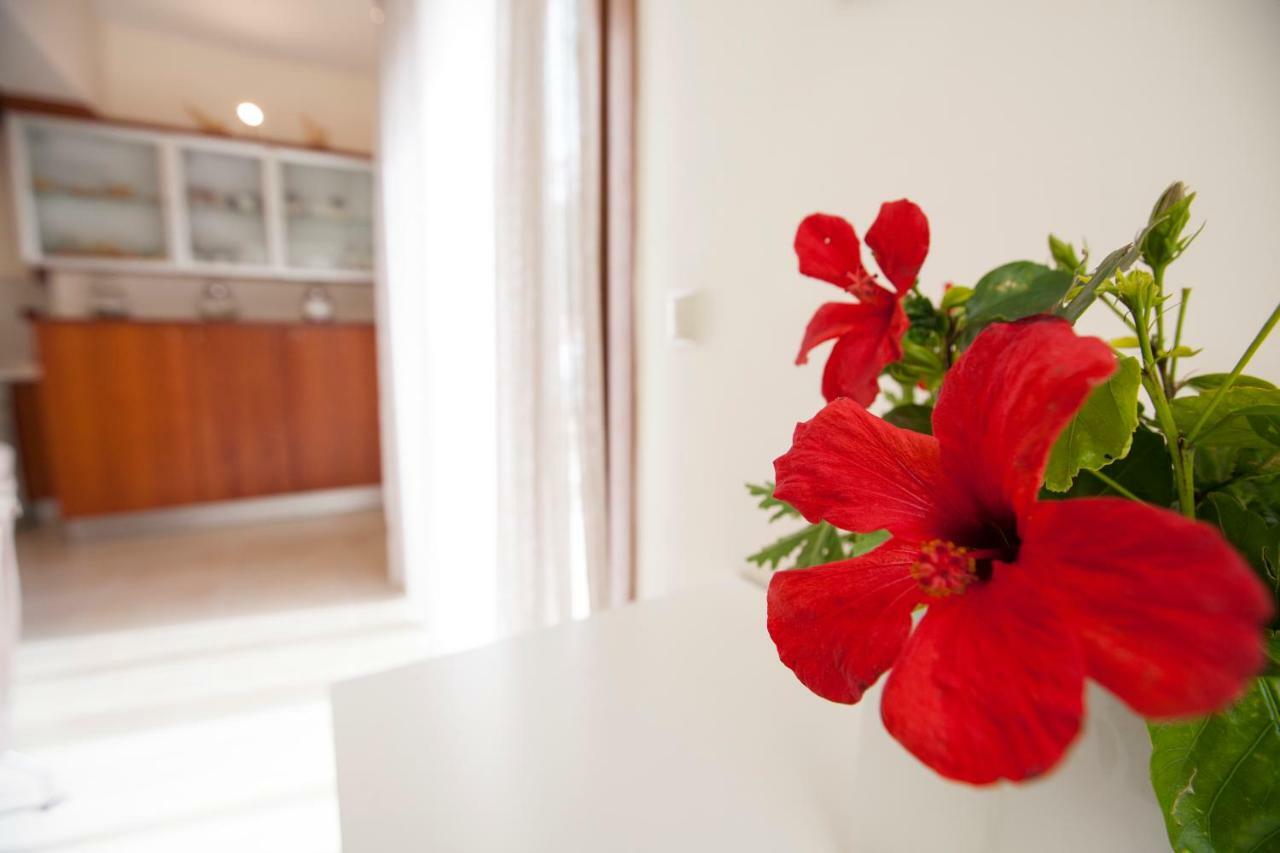 Sunny Rhodes Villa Коскину Экстерьер фото