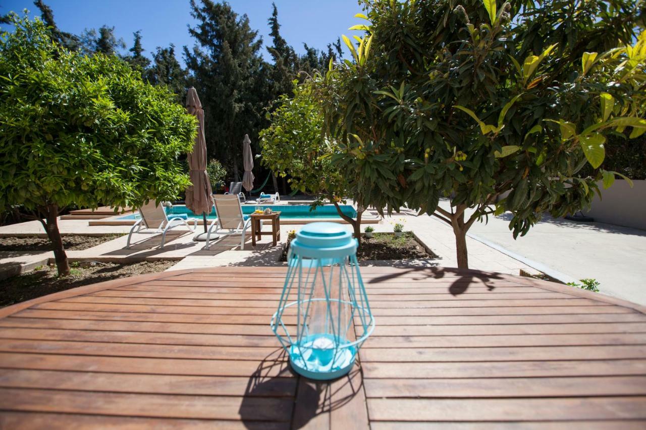 Sunny Rhodes Villa Коскину Экстерьер фото