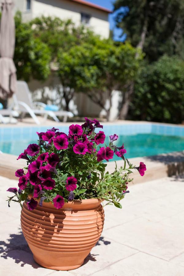 Sunny Rhodes Villa Коскину Экстерьер фото