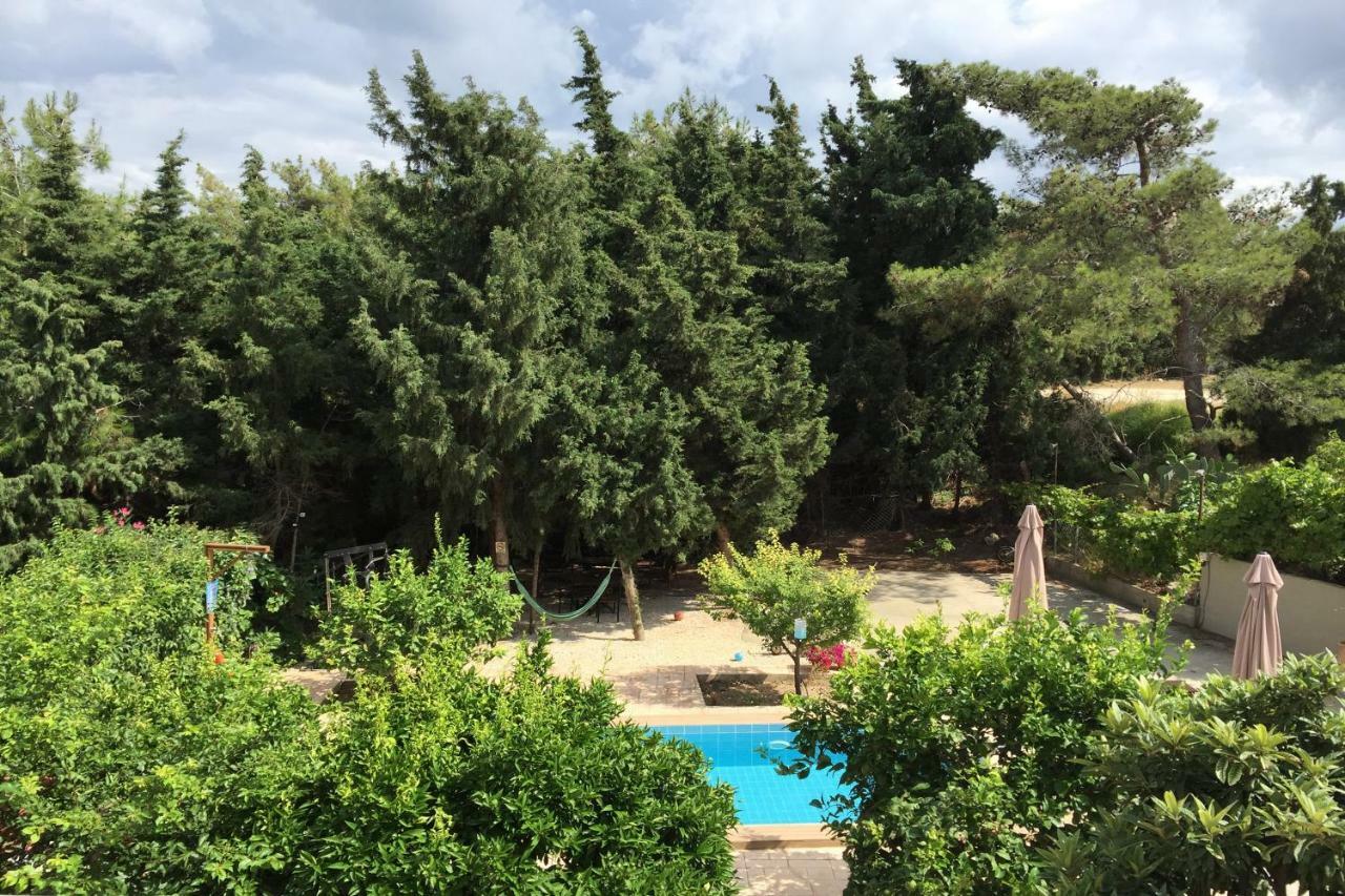 Sunny Rhodes Villa Коскину Экстерьер фото